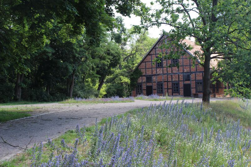 Fachwerkgebäude vor blühender Wiese