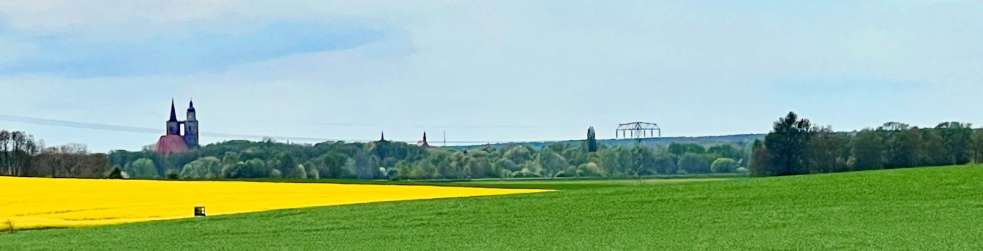 Silhouette Jüterbog, vom S12 Schlenzer-Fröhden aus gesehen, blühendes Rapsfeld, Getreidefeld