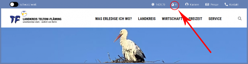 Kopfzeile der Homepage der Kreisverwaltung TF