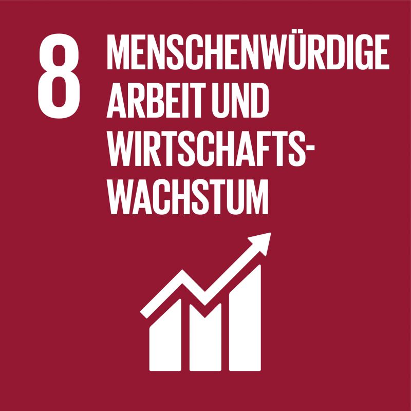 8 Menschenwürdige Arbeit und Wirtschaftswachstum