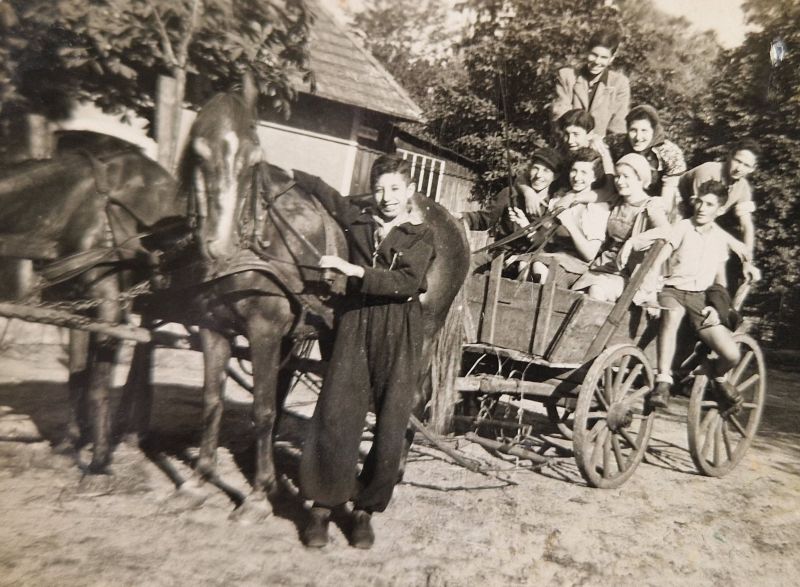 junge Leute mit Pferd und Wagen, s/w