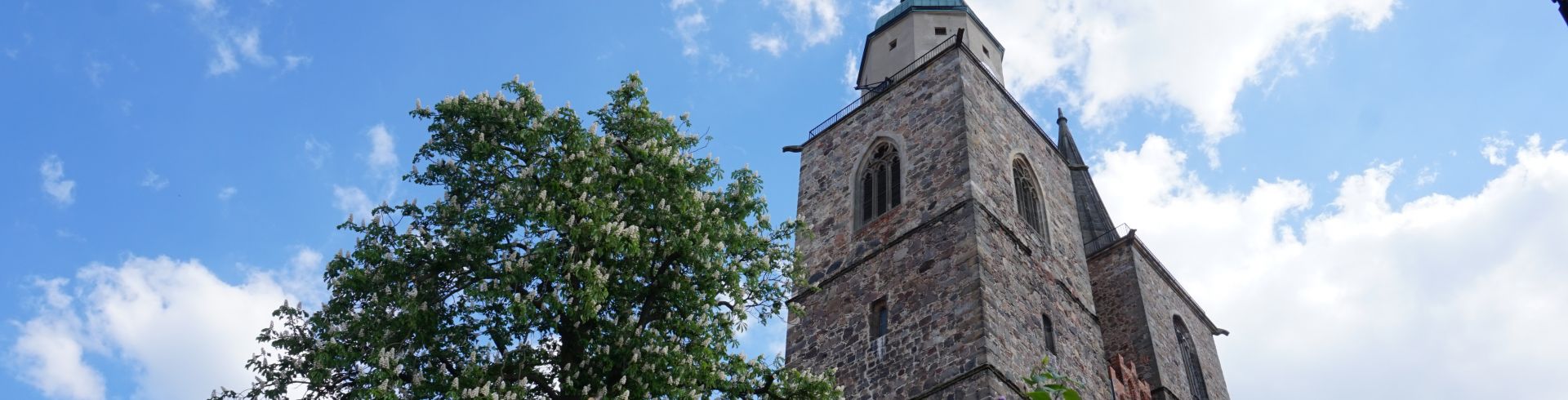 zwei Türme, dunkellila blühender Flieder im Vordergrund