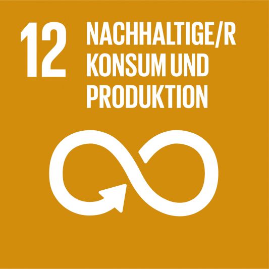 12 Nachhaltige/r Konsum und Produktion