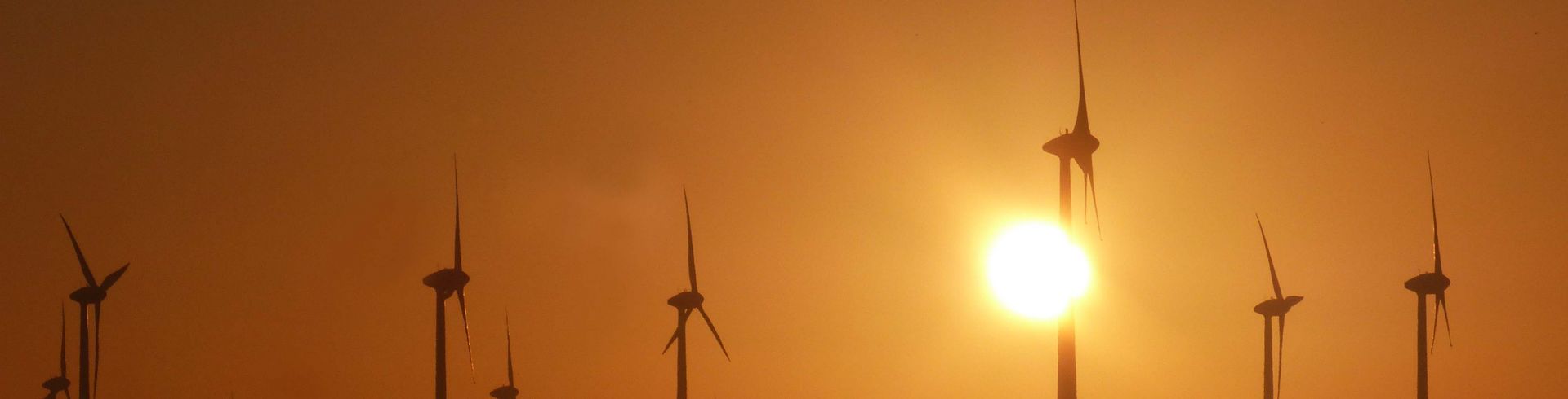 Windräder oim Abendlicht