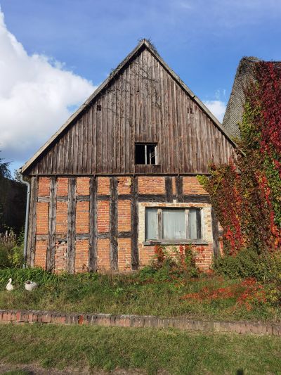 altes Fachwerkgebäude mit Weinlaub